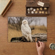 Ağaç Dalının Üstünde Kar Baykuşu Tasarımı 240 Parça Ahşap Puzzle Ahşap Kutuda Mpy60230