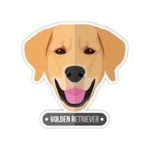 Bay Etiket Andg16 Golden Retriever Kopek Sticker