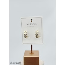 Küpe Metal Özel Hediye Model 247494 Çok Renkli