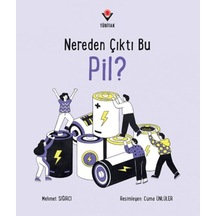 Nereden Çıktı Bu Pil - Aıaı-893066