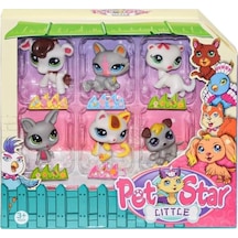 3046a3 Pet Star 6'lı Miniş Seti-2