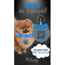Petjoo 13.Bert Gri-Mavi Qr'lı Köpek Künyesi