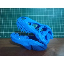 Trex İskelet Kuru Kafa Biblo Heykel