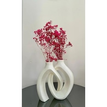 Dekoratif Vazo/pinterest Vazosu, Sacdsc2 Diğer
