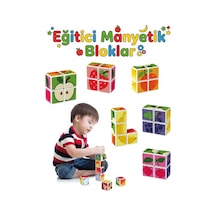 Eğitici Manyetik Bloklar Küpler - Mıknatıslı Zeka Blokları - 4 Parça Meyve Temalı 3 Boyutlu Puzzle