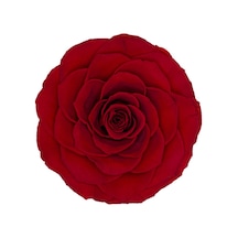 Rose Amor red-02 kırmızı şoklanmış solmaz gül XL