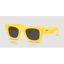 Ray-Ban 0rb4940 683087 47 Unisex Güneş Gözlüğü Altın - Beyaz