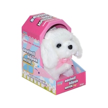 Bay 47100 Sevimli Köpek Maltese Najmaddin