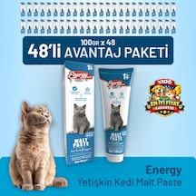 Yetişkin Kedi Malt Paste 100 G - 48 Adet