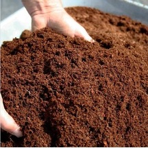 Torf Toprağı 15 L