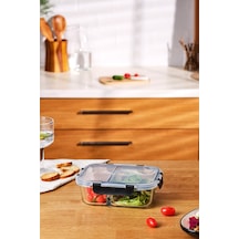 Emsan Twin 980 Ml Borosilikat Saklama Kabı Çok Renkli