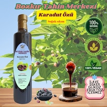 Bozkır Tahin Merkezi Katkısız Doğal Soğuk Pres Karadut Özü 700 G