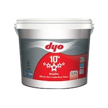 Dyo Beşyıldız Slikonlu Iç Cephe Boyası 20 Kg
