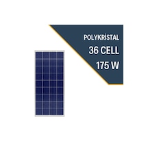 Lexron 175 Watt  Polikristal Güneş Paneli