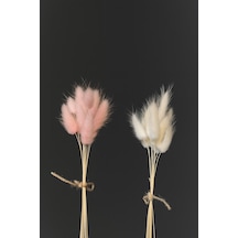 Beyaz - Pembe