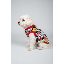Miniş Minnie Küçük Irk Köpek T-shirt Esnek Pamuklu Penye-21572