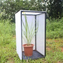 Reedark Pvc Çerçeveli Kelebek/boğağa Kafesi Bitki Ve Böcek Yetiştirme İçin Özel Boyut Oluşturulabilir Dayanıklı Ve Kolay Montajlı