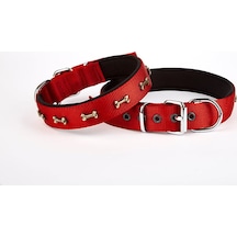 Softlu Kemik Desenli Köpek Tasması 2 Cm X 40 Cm Kırmızı Çok Renkli