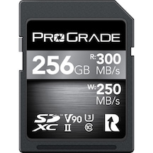 Prograde SDXC UHS-LI V90 256 GB SD Hafıza Kartı