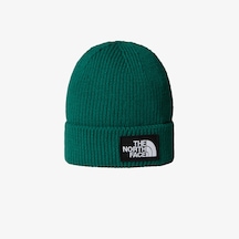 The North Face Logo Box Cuffed Unisex Yeşil Bere Nf0a8chenl11 Yeşil
