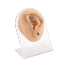 Silikon Sol Kulak Piercing Eğitim Modeli Gerçekçi 3d Kulak Modeli - Standlı