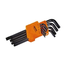 Rico 9 Parça Vakumlu Allen Torx Uzun