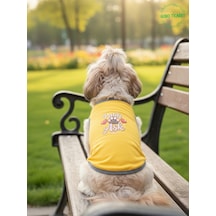 Sarı Renkli Patili Aşk Baskılı Kedi Ve Köpek Kıyafeti Tişörtü Elbisesi Medium/m/beden 2