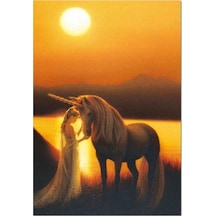 Enchanted Evening Puzzle
