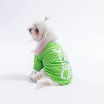 Pawstar Yeşil Yourself Love Sweat