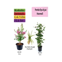 Pembe Oya Ağacı+ Hanımeli Çiçeği+ Kurdele Çiçeği Hediyeli