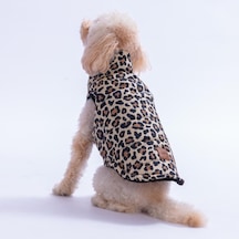 Mbeya Gold Leopar Desen Yelek Köpek Yeleği Köpek Kıyafeti Köpek Yağmurluk