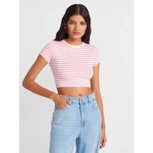 Dilvin 31889 Çizgili Crop Top-ekru-pembe Ekru - Pembe