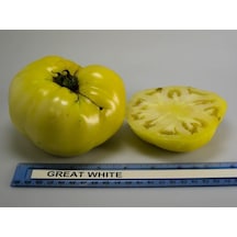 Doğal Gelenekel Great White Domates Tohumu 20 Tohum