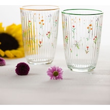 Rakle Botanical 4'lü Meşrubat Bardağı Seti 395 Cc