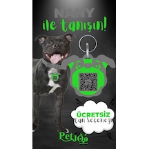 Petjoo 17.Nany Yeşil-Gri Qr'lı Köpek Künyesi