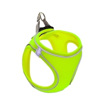 Neon Sarı