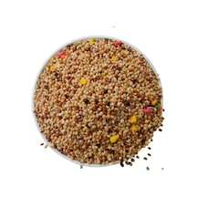 Karışık Meyveli Muhabbet Kuşu Yemi 5 KG