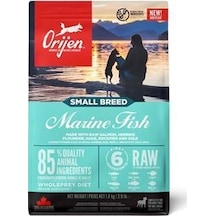 Orijen Puppy Small Breed Küçük Irk Balıklı Yetişkin Köpek Maması 1800 G