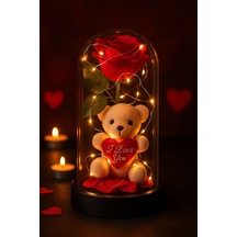 Led Işıklı Mika Fanus İçinde Gül Ve Lüx Peluş Ayıcık 20 Cm Sevgiliye Hediye Kırmızı
