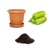 Nadir Çin Kavunu Tohumu Ekim Seti