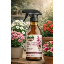 500 ML