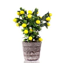 Yapay Çiçek Seramik Saksıda Limon Ağacı