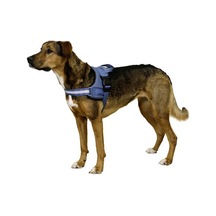 Belden Köpek Tasması Maestro 2.0 L 64-90 cm x 25 mm Mavi