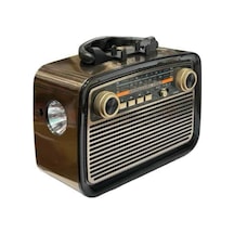 Astraltech Bluetoothlu Ahşap Tasarım Nostalji Radyo 1 Kg