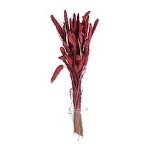 Yapay Çiçek Deposu Şoklanmış Setteria Boncuk Demeti 100 Gr Bordo