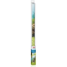 Juwel Poster1 Plant/reef - Xl Arka Fon 150 60cm