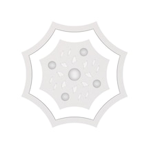 Motifpiyer Tavan Spot Göbek Tsg-2s-79-dıs-citalı