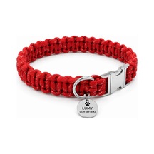 Paracord Köpek Tasması