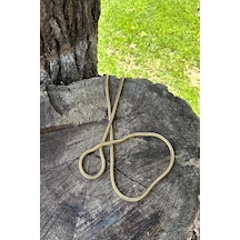 İtalyan Roma Tasarım Gold Altın Renk 316l Paslanmaz Çelik 50cm Kolye Altın
