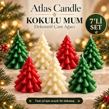 7 Li Kokulu Çam Ağacı Mum Seti - Dekoratif Yılbaşı Hediyesi Çok Renkli
